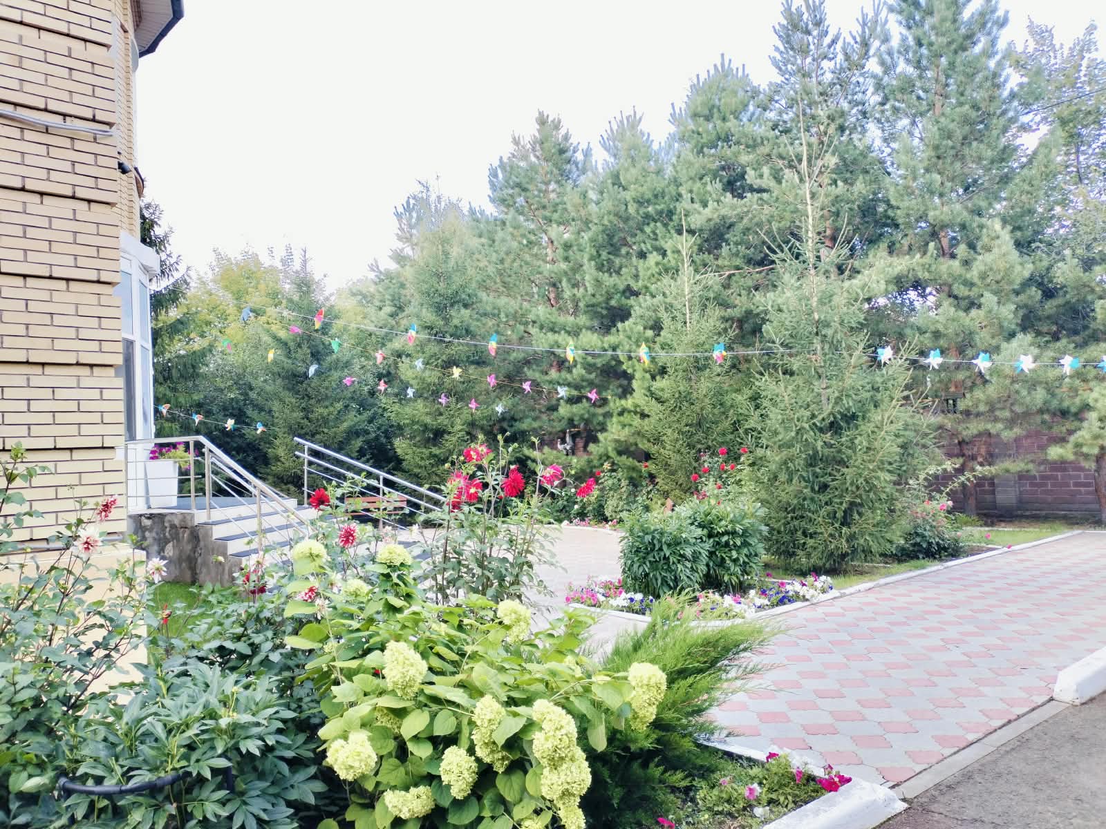Наш дворик (территория) (5)